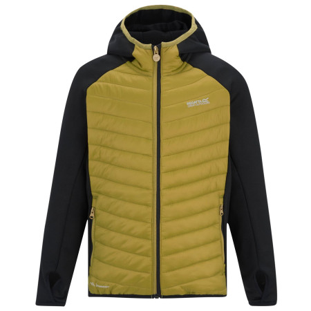 Veste enfant Regatta Junior Andreson Hybrid BlkWdBrown vert BlkWdBrown