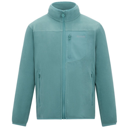 Sweatshirt enfant Regatta Junior Frankie F/Z Ivy Moss vert clair Ivy Moss