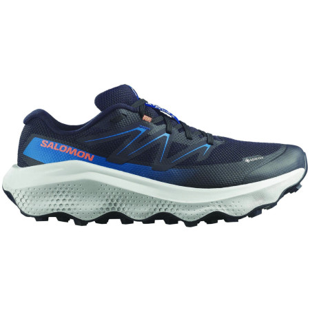 Chaussures homme Salomon Ultra Flow 2 Gore-Tex