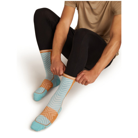 Chaussettes homme Icebreaker Men Merino Run+ Ultralight Mini