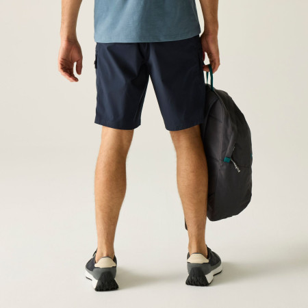 Shorts homme Regatta Arlery Shorts