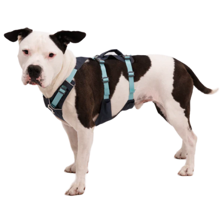 Harnais pour chien Ruffwear Flagline™ Harness