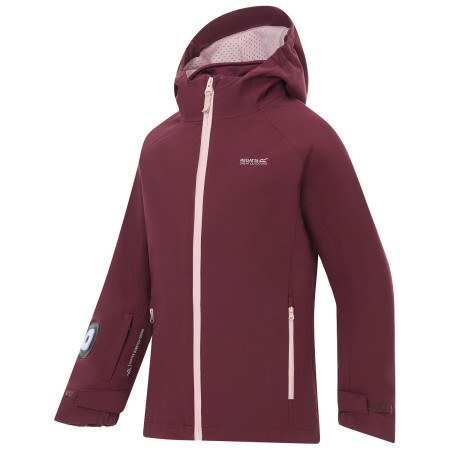 Veste d'hiver fille Regatta Girls Trekktain 3-in-1 II FigPowLilac