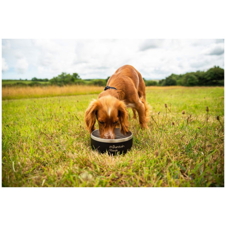 Gamelle pour chien Mountain Paws Basecamp Dog Bowl