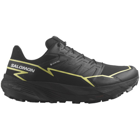 Chaussures de running femme Salomon Thundercross Gore-Tex vert Black / Black / Charlock