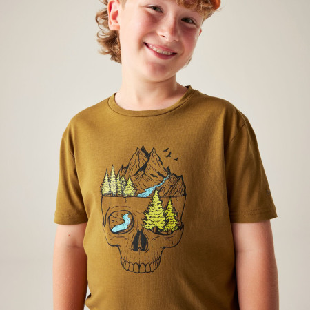 T-shirt enfant Dare 2b Trailbazer III Tee Dark Cumin