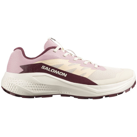 Chaussures running femme Salomon Alphaglide