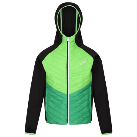 Veste enfant Regatta Kielder HybridVII vert Black/Jasmine Green