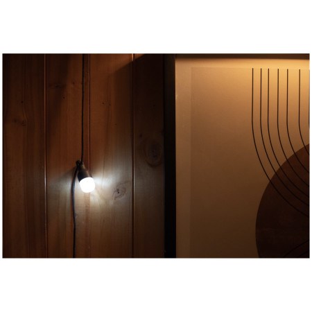 Set de lumières BioLite Site Lights