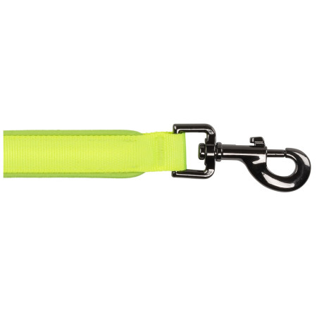 Laisse pour chien Nite Ize LED NiteDog