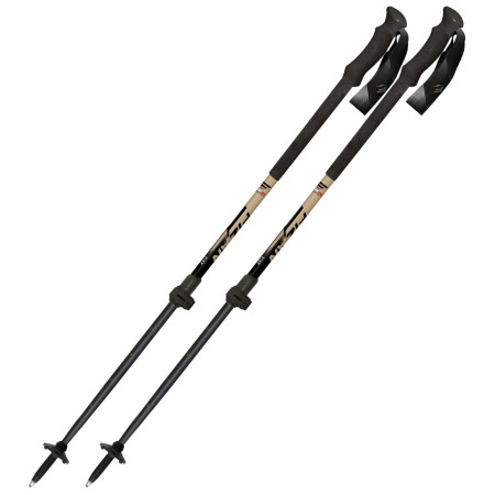 Bâtons de ski alpin Fizan Aria