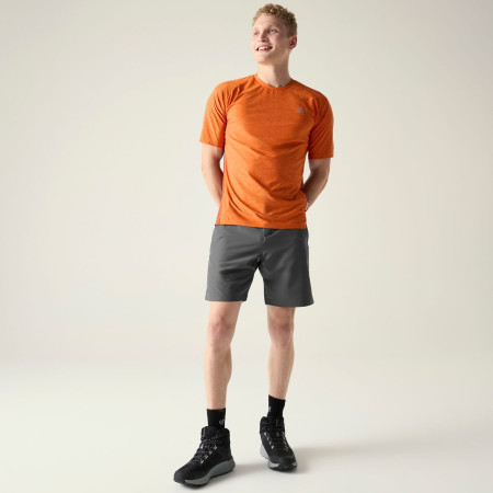 Shorts homme Dare 2b Torrek II Short