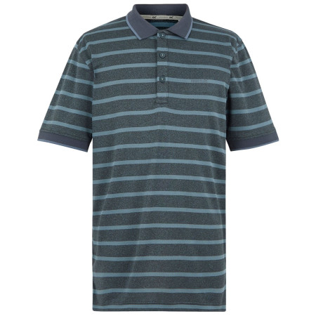 T-shirt homme Regatta Kildra girs StormyWeathr