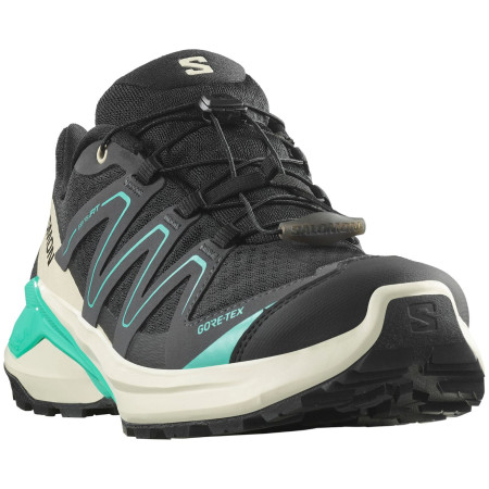 Bottes randonnée femme Salomon Examotion Gore-Tex