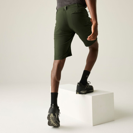 Shorts homme Regatta Highton Shorts Long II