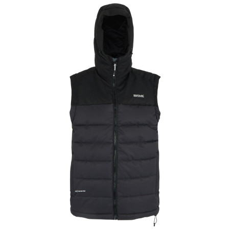 Gilet homme Regatta Aldthorn B/W gris Ash/Black