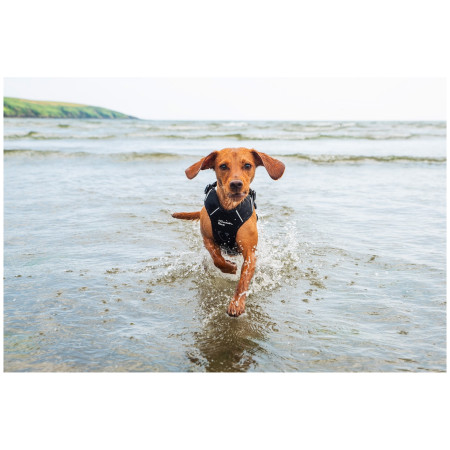 Harnais pour chien Mountain Paws Dog Harness