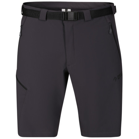 Shorts homme Direct Alpine Cruise Shorts 3.0 noir / gris anthracite