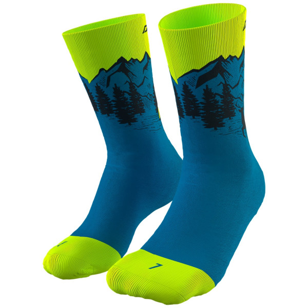 Chaussettes Dynafit Stay Fast Sk bleu foncé Reef