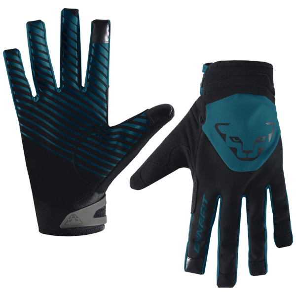 Gants Dynafit Radical 2 Softshell Gloves vert / bleu storm blue/0910