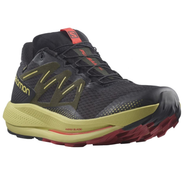 Chaussures de running hommes Salomon Pulsar Trail Gtx