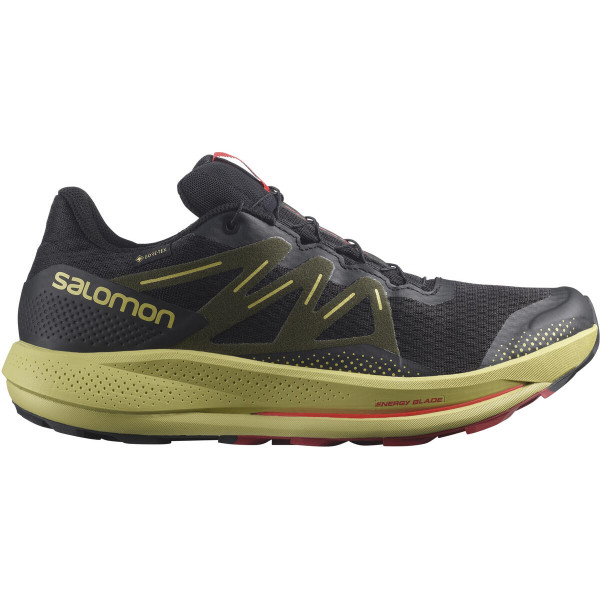 Chaussures de running hommes Salomon Pulsar Trail Gtx noir/vert black