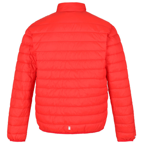 Veste homme Regatta Hillpack