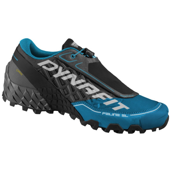 Chaussures de running hommes Dynafit Feline Sl Gtx vert / bleu Carbon/Frost