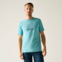 T-shirt homme Regatta Cline IX