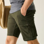Shorts homme Regatta Bendrick Shorts