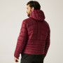 Veste homme Regatta Hooded Leedre Hybrid