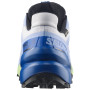 Chaussures de running hommes Salomon Speedcross 6 GTX Icon