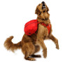 Harnais pour chien Ruffwear Palisades™ Pack