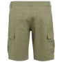 Shorts homme Regatta Ruwan Shorts