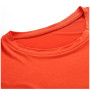T-shirt fonctionnel homme Alpine Pro Basik
