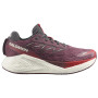 Chaussures running femme Salomon Aero Glide 4