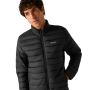 Veste matelassée pour homme Regatta Marizion