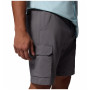 Shorts homme Columbia Silver Ridge™ Utility Cargo Short