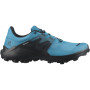 Chaussures homme Salomon Wildcross 2 Gore-Tex