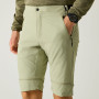 Pantalon homme Regatta Mountain Z/O Trousers