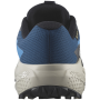Chaussures de running hommes Salomon Alphaglide Gore-Tex
