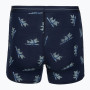 Caleçons fonctionnels homme Icebreaker Men M 150 Anatomica Boxers BearTourAOP