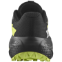 Chaussures de running hommes Salomon Alphaglide Gore-Tex