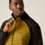 Veste homme Regatta Andreson Hybrid