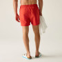 Maillot de bain homme Regatta Mawson Swim Shorts III