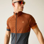 Maillot vélo homme Dare 2b Protraction III Jersey