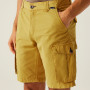 Short homme Regatta Shorebay Shorts II