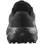 Chaussures homme Salomon Alphaglide Gore-Tex