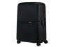 Grandes valises