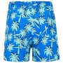 Maillot bain enfant Regatta Skander SBluIGrPalm